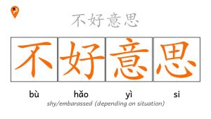 bùhǎoyìsi