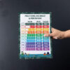 Conversion of Fractions To Decimals and Percentages