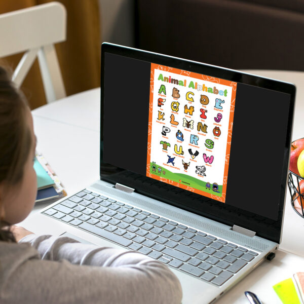 Alphabet And Animals