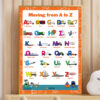Alphabet Transport