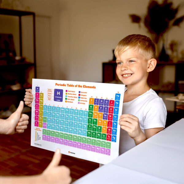 Science Enthusiast Gift