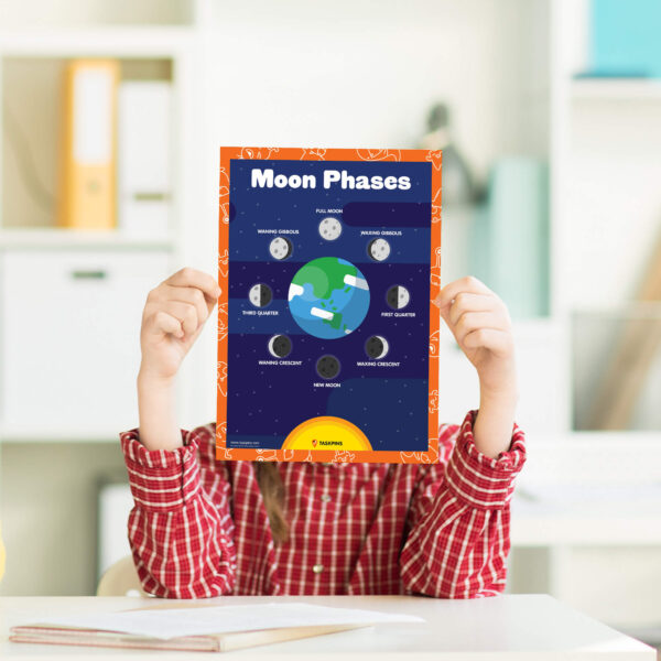 study moon phases print