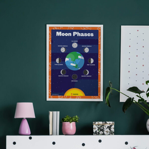 print moon phases chart decoration