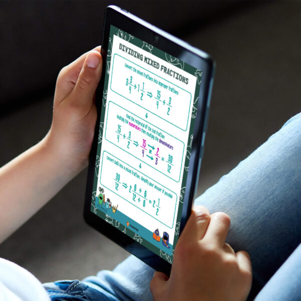 Mixed fraction division digital guide