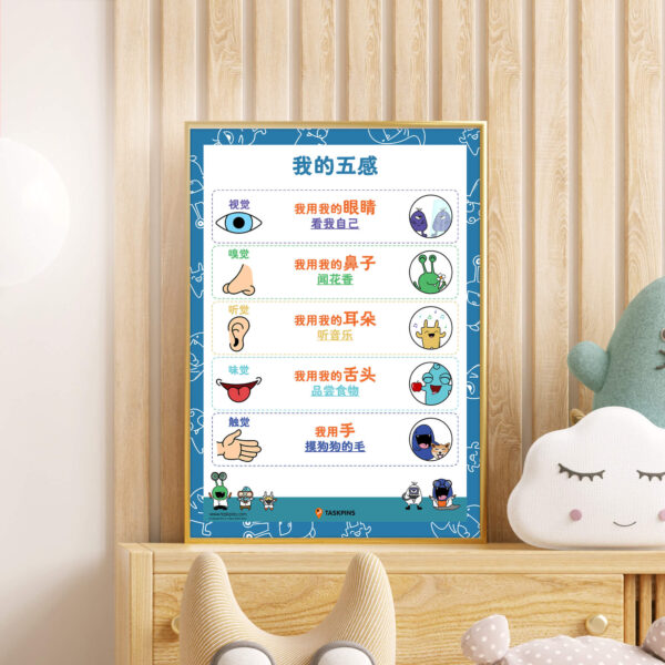 Five senses poster decoration