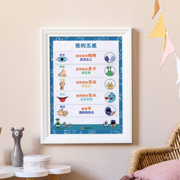 Five senses study decor