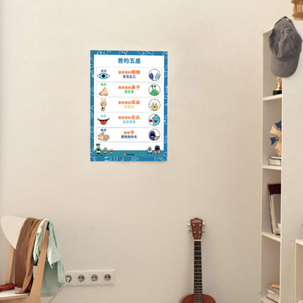 Five senses downloadable print