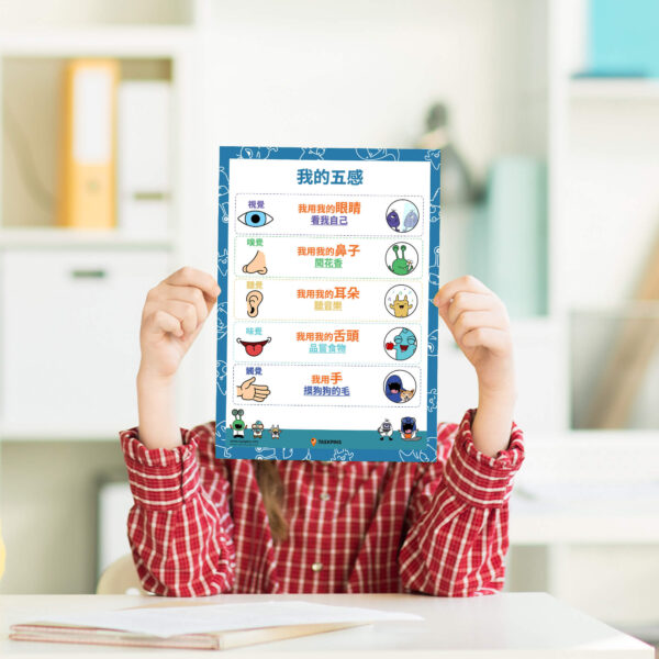Five senses educational decor