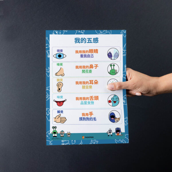 Five senses guide resource
