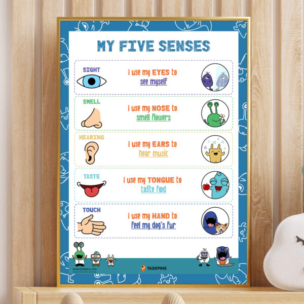 Five senses educational poster
