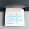 Letter B Tracing print