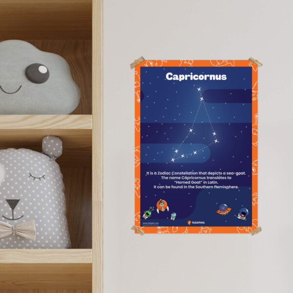 Capricornus Facts poster