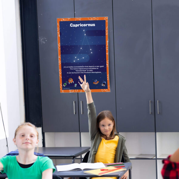 Facts Capricornus Constellation poster