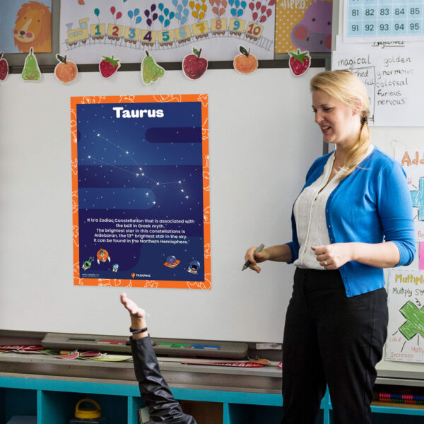Constellation Taurus Facts display
