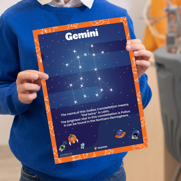 Gemini The Constellation Facts print