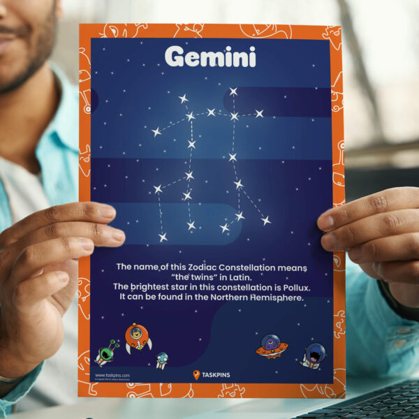 Gemini The Constellation Facts poster