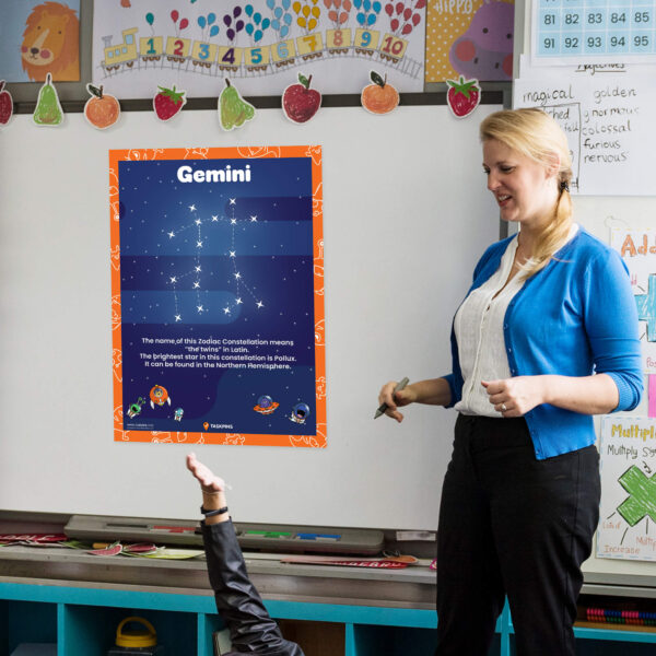 Facts About Gemini The Constellation display