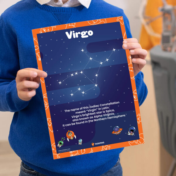 Virgo Facts chart