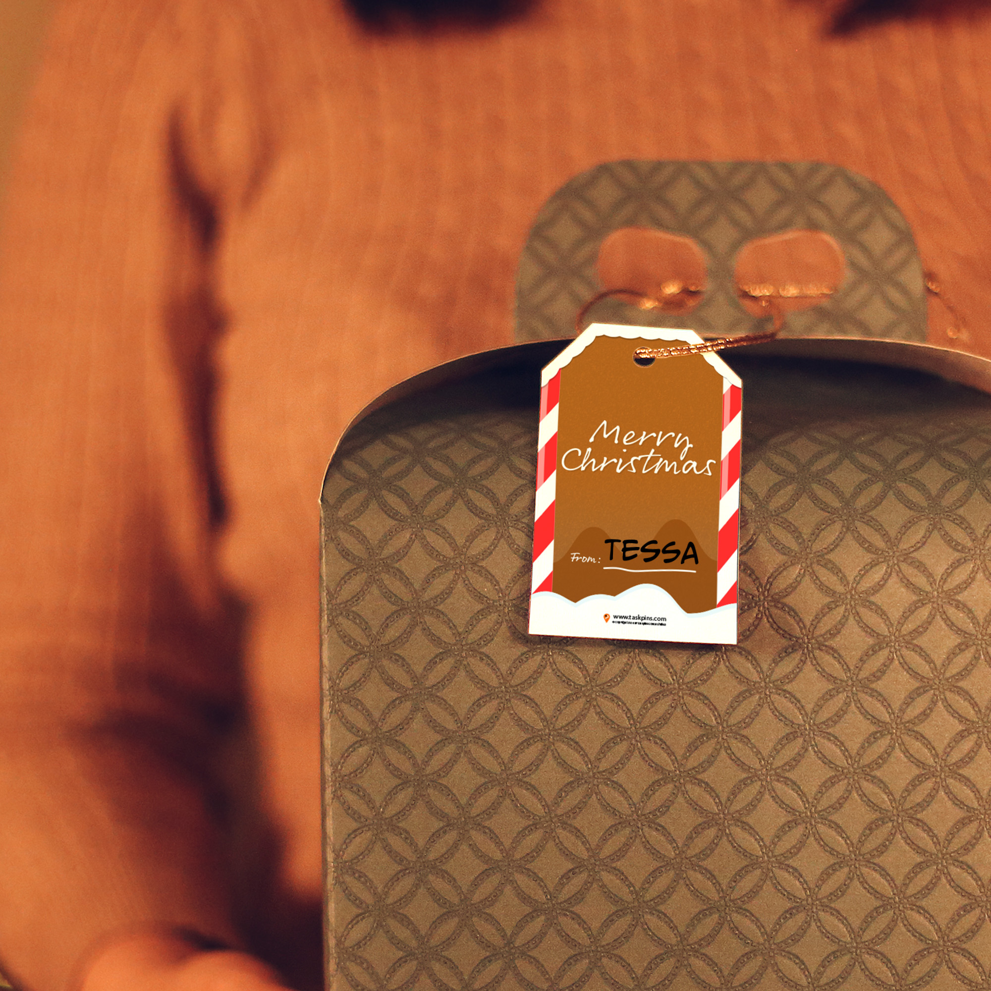 Christmas Tags Bag festive