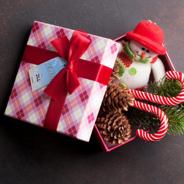 Holiday Christmas Bag Tags DIY