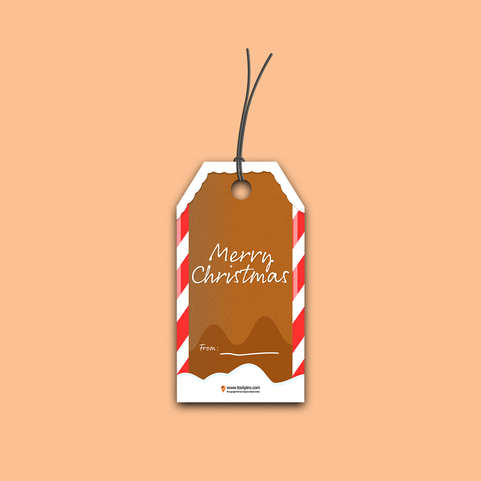Christmas Bag Tags activity