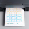 S Tracing Worksheet print