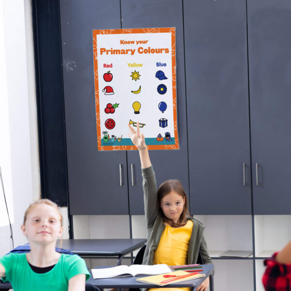 What Are The Primary Colours poster