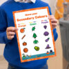 The Secondary Colours What Are handout
