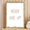 Never Give Up display
