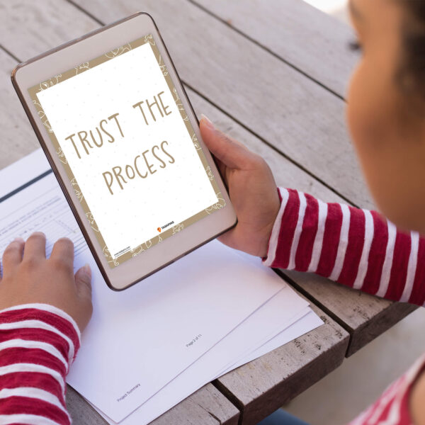 digital Trust The Process poster
